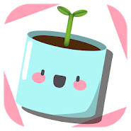 My Plant Evolution