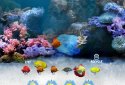 Water Paradise screenshot 6