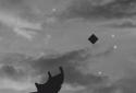 Bumbari screenshot 7