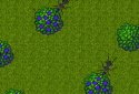 Ant Evolution screenshot 2