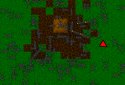 Ant Evolution screenshot 6