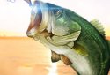 Fishing Season : River To Ocean screenshot 8