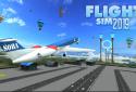 Flight Sim 2019 screenshot 1