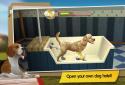 Dog Hotel Premium – Play with cute dogs screenshot 1