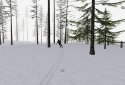 Alpine Ski III screenshot 12