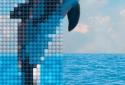 Cross Stitch screenshot 8