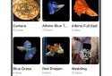 1Gallery - Photo Gallery & Vault  screenshot 5