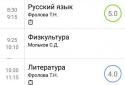 Школьный дневник screenshot 2