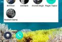 Contacts Widget - Quick Dial Widget - Speed Dial screenshot 12