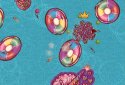 Tubetastic: World Splashfest screenshot 1