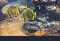 Yi Pro - Yi Action Camera screenshot 1