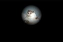 Las Aventuras del Gato Becker screenshot 2