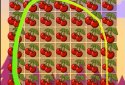 Birdies Escape: Candy Gems and Jewels Match screenshot 6