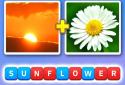 Word Pics ? - Word Games ? screenshot 4