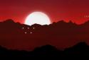 Space Chase : Odyssey screenshot 4
