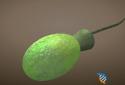 Idle Evolution - from Cell to Human screenshot 1