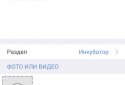 ЯП — развлекательное сообщество screenshot 7