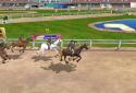 Athletics 3: Summer Sports screenshot 3