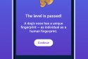 Весёлый заяц - Викторина для детей screenshot 4