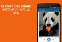 +Download 4 Instagram Twitter screenshot 4