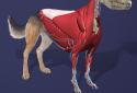 Idle Pet - Create cell by cell screenshot 6