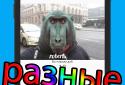 Карманный дэб screenshot 3