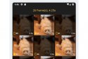 Gif mini  screenshot 5