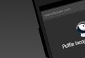 Puffin Incognito Browser screenshot 1