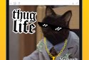 Мемасик screenshot 9