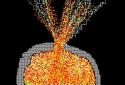 Sandbox - Physics Simulator screenshot 2