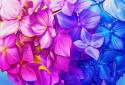 Tap Color Lite - Раскраска по номерам и интернета screenshot 6
