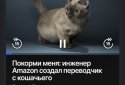 MediaUp: новости без шума screenshot 5