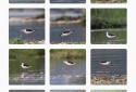 Photo Compare screenshot 2