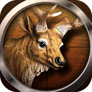 The Hunting World