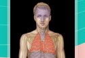 Easy Anatomy  screenshot 3