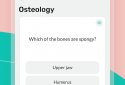 Easy Anatomy  screenshot 8