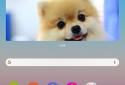 Simple Photo Widget screenshot 10