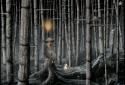Samorost 2 screenshot 3