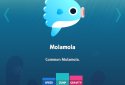 Get Bigger! Mola screenshot 9