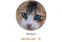 MeowTalk screenshot 1