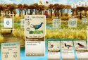 Wingspan (Крылья) screenshot 2