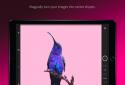 Adobe Capture screenshot 2