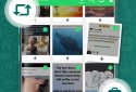 Сохранение статуса WhatsApp screenshot 3