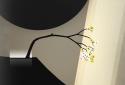 Prune+ screenshot 5