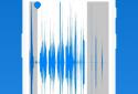 Call Recorder - IntCall ACR screenshot 6