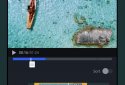 Редактор видео с эффектами screenshot 7