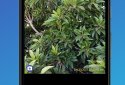 PhotoStamp Camera screenshot 1