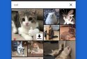 GIF Maker - GIF Editor screenshot 5