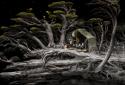Samorost 3+ screenshot 7