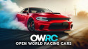 OWRC: Гонки с открытым миром screenshot 1